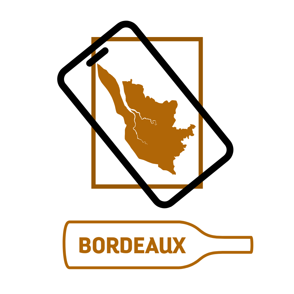 Bordeaux Immersive Map